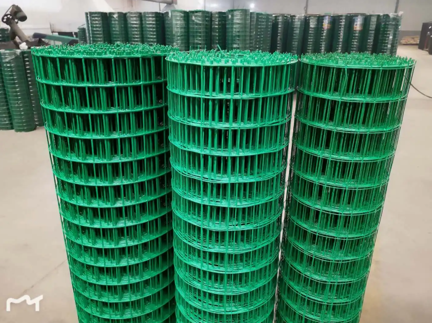 大名荷兰网